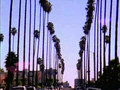 LA Weekly Video