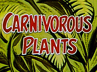 MIS: Carnivorous Plants