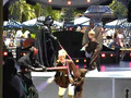 Jedi Training Academy at Disneyland in California