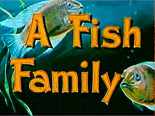 MIS: A Fish Family