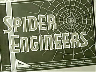 MIS: Spider Engineers