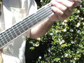 Gretsch White Falcon Guitar ,,, 3-24-2008