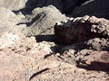 DesertFox Tours Inc. - Grand Canyon #6 Clip
