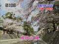 メモリアル映像館(2008-03-30)桜のある風景_.wmv
