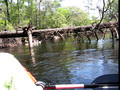 St. Mary's River with the Johns' 3