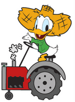 Donald Duck, Chip 'n Dale - Donald Applecore (1952).wmv