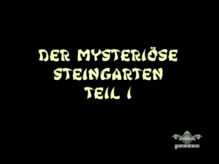 Detektiv Conan 304 - Der mysteriöse Steingarten 1