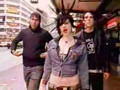 The Distillers - The Young Crazed Peeling