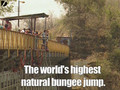 World's Highest Bungee Jump
