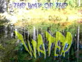 The Way of the Water