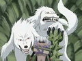 Naruto March of the Dogs