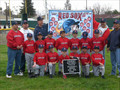 Redsox Baseball 2008