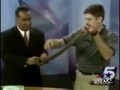 Anchor Attacked By Reptile