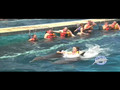 Swimming with Dolphins Experience