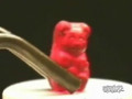 Gummi Bear Dropped Into Potassium Chlorate