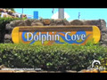 Sea Life Park Oahu Hawaii Activities and Attractions
