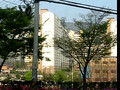 Gimhae apartment forest, part three