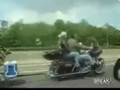 Motorcycle Tows Dog On Highway