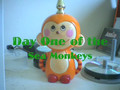 Sea Monkeys Week One