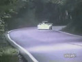 Deer Gets Whacked By Race Car