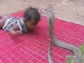 Crazy Parents Let Baby Wrestle Cobra