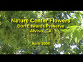 Nature Center Flowers - Don Edwards West