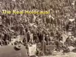 The Genocide of 1.7 Million German POW's in Eisenhowers Rhine Meadow Death Camps