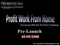 The Profit Work From Home System