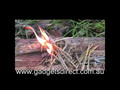 Fire Steel Fire Starter | Start a Fire