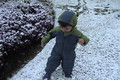 Asher in the Snow