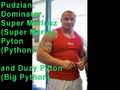 Mariusz Pudzianowski World's Strongest Man Competitor 