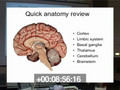 Maggie Zellner, Neuroanatomy and pharmacology of depression, part 1 - clip