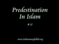 17 Idiots Guide to Islam- Predestination in Islam - Part 17