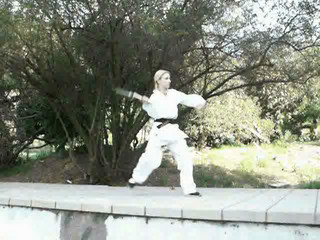 Liisa's martial arts reel