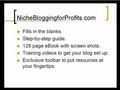 How to Use a Niche Blog to Generate Profits