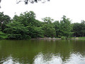 大宮公園　池