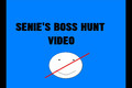 Senie's Boss Hunt