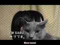 AKB48 - Tojima Hana Private Video (Subtitled)