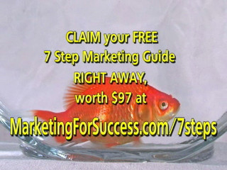 Marketing Ideas - #2 The Goldfish