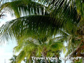 Travel Cayman Island-Travel Little Cayman Island: Cayman Travel Video PostCard