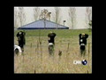 The Columbine Cause (6 of 16 - The Attackers)