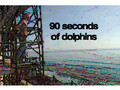 90 secs of Dolphins