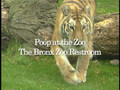 Poop at the Zoo - The Bronx Zoo's New Eco Restroom