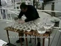 Amazing Musician Glass Player