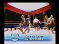 S5E14 Siamese Wrestling