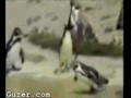 Funny Techno Penguin