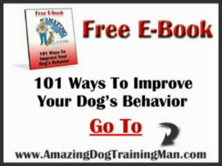 Dog Training - Using Food