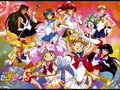 Sailor Soldiers Tribute