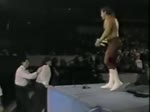WWF Superstars of Wrestling January 6, 1990