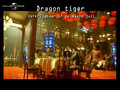 Dragon Tiger - Trailer
